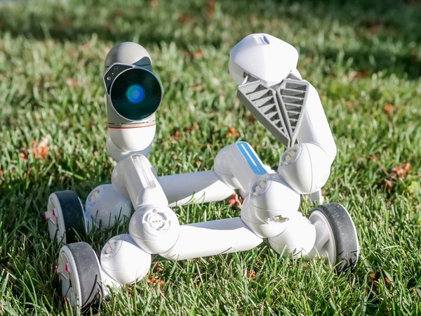 Comment optimiser vos campagnes avec des qr codes dynamiques